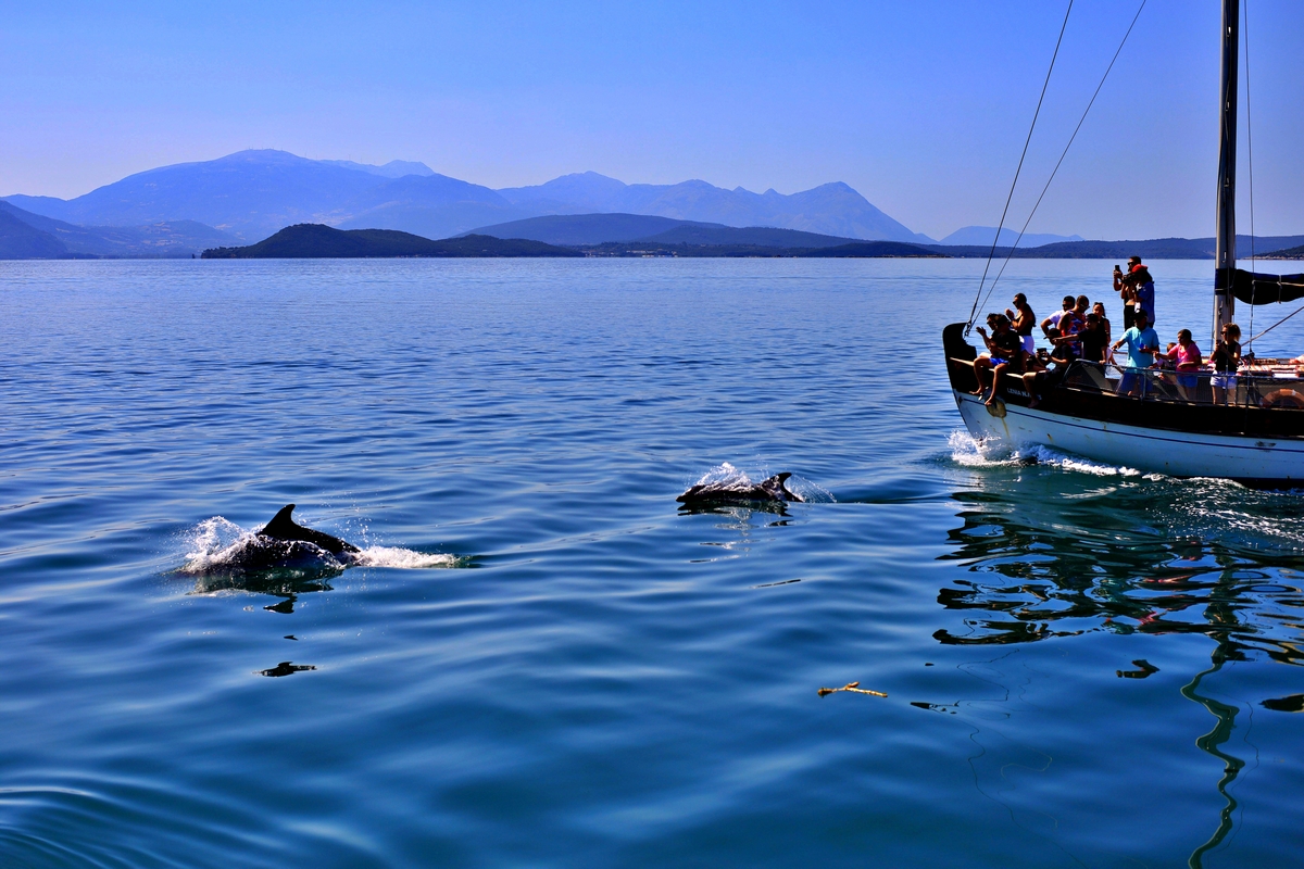 AMVRAKIKOS GULF