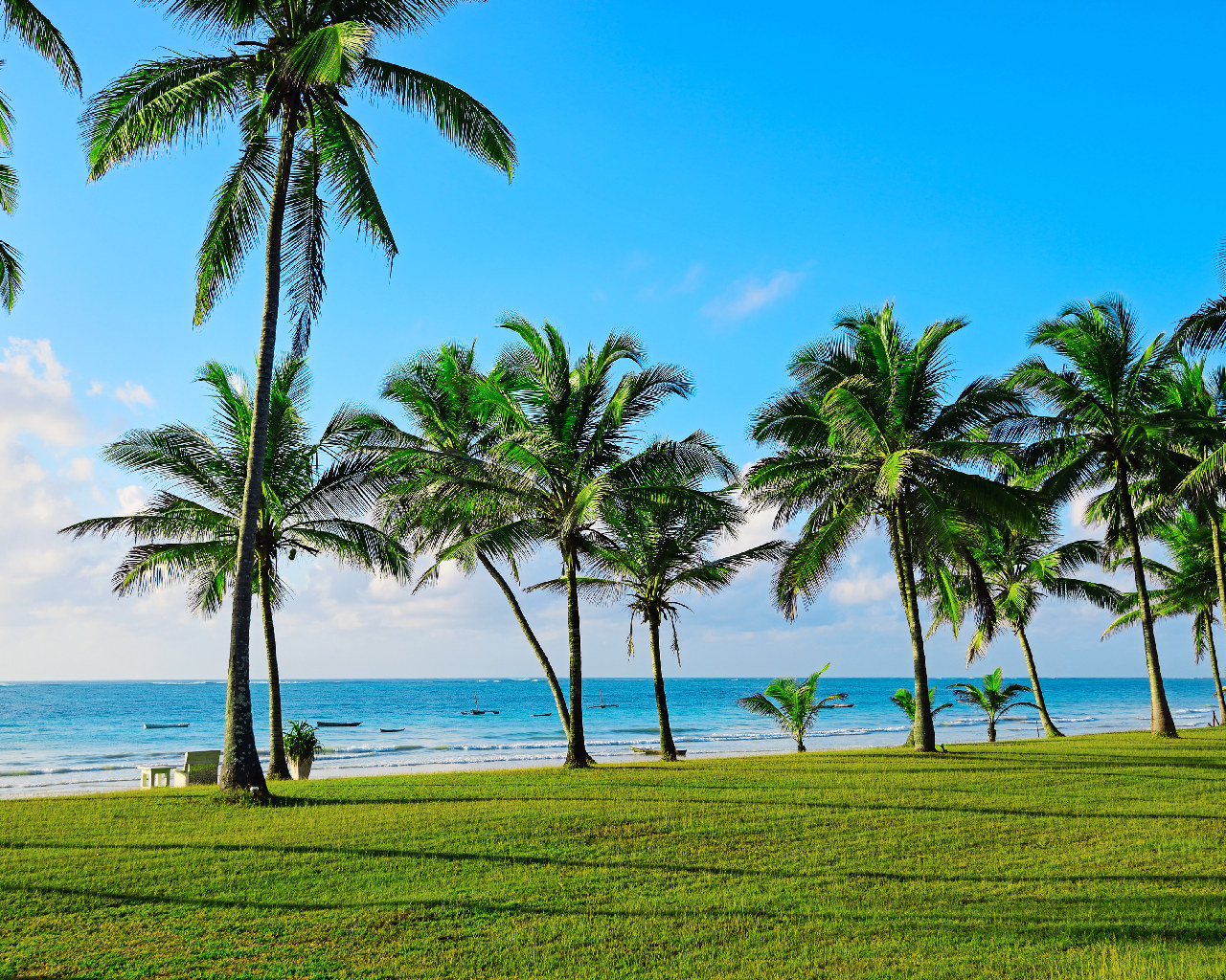 shutterstock_319306997