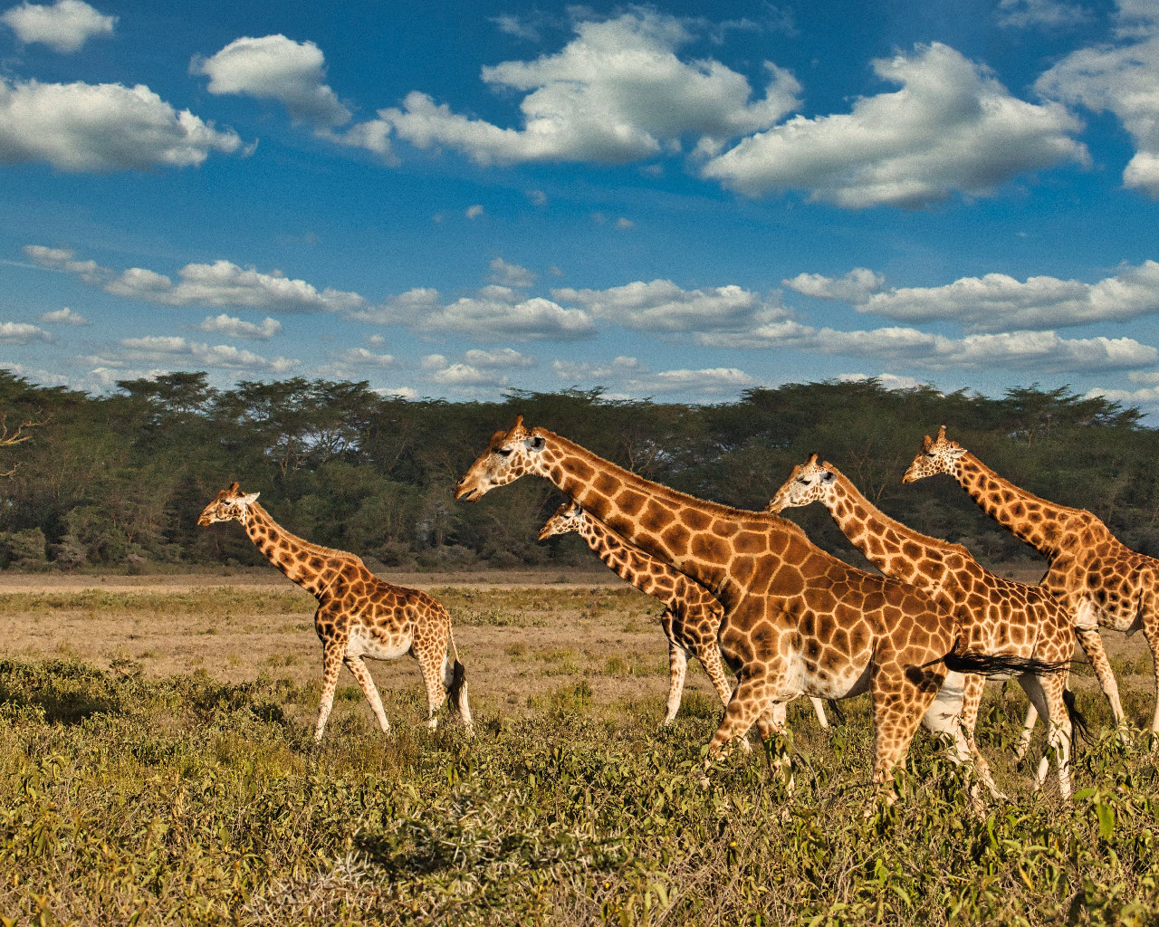 shutterstock_2105506508