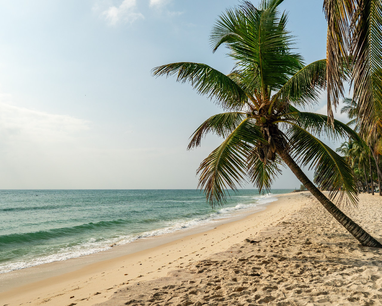 shutterstock_2448159857