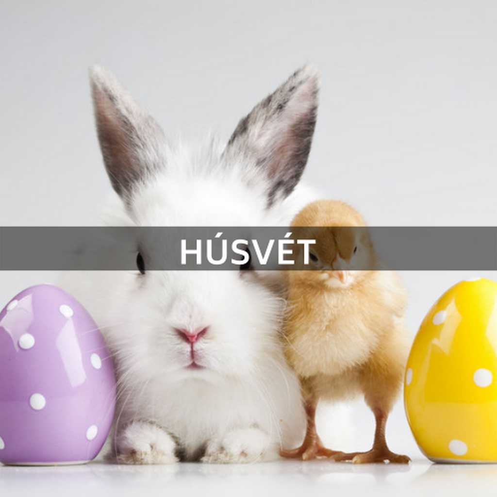 A százhúsz éves IBUSZ a húsvéti hosszú hétvégén pihenni vágyók számára egyedi ajánlatokkal szolgál, így az ünnepen hatékonyan feltöltődhetünk családunkkal.