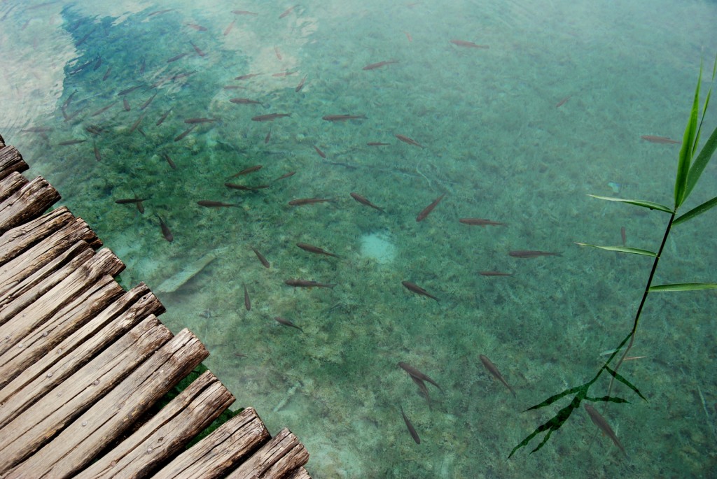 plitvice