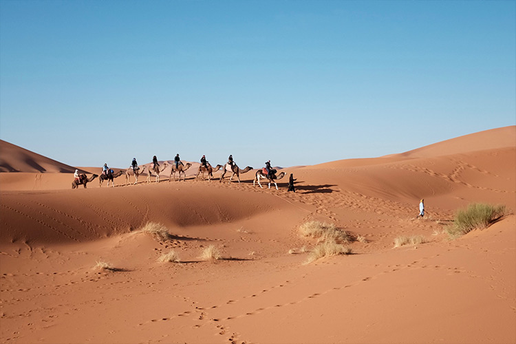A százhúsz éves IBUSZ utasait egész nyáron aktív és hagyományos pihenési lehetőségekkel várja a Tunézia kalandokkal kecsegtető, csodálatos ősi vidéke.